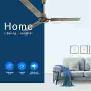 30'' 6 Wooden Blades With One Lamp Decorative Ceiling Fan CF-30N3