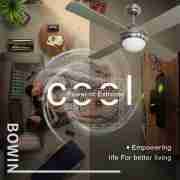 4 Wooden Blades With One Lamp Decorative Ceiling Fan CF-52-4CL2