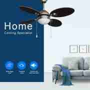 42'' Dark Black Color And 4 Blades Decorative Ceiling Fan CF-42-4CL(CN)3