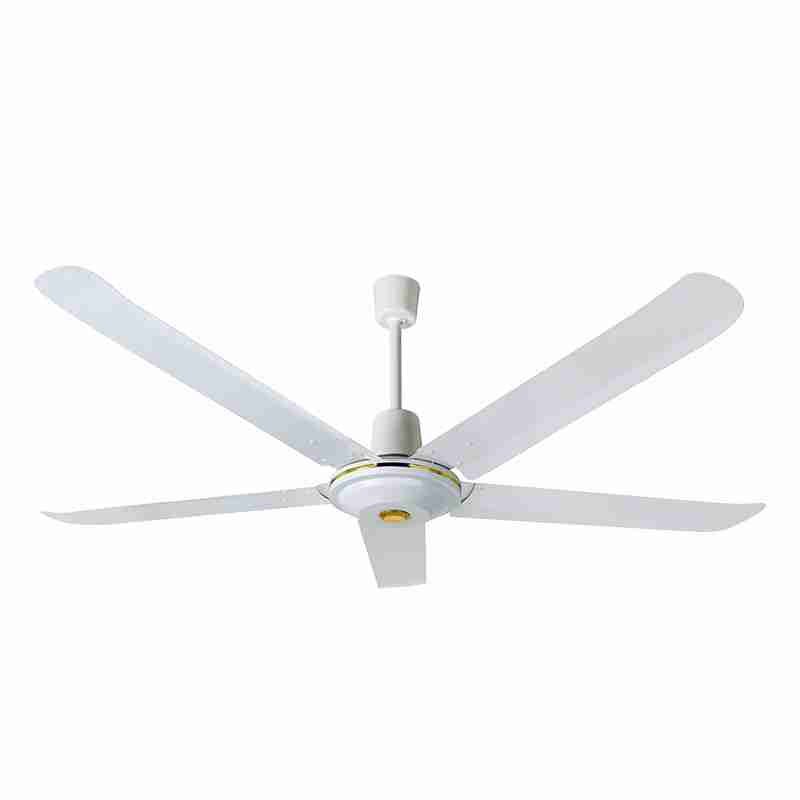 Ceiling Fan CF-56 DKG GOLDEN COLOR CEILING FANS