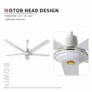 Ceiling Fan CF-56 DKG GOLDEN COLOR CEILING FANS2