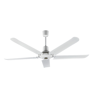 CEILING FAN