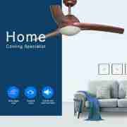 Decorative Ceiling Fan CF-42-3CL3