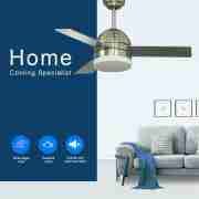 Decorative Ceiling Fan CF-42-3CS(B)3