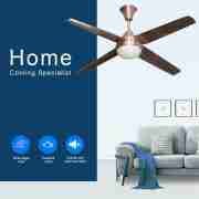 Decorative Ceiling Fan CF-48-4CS(T) 3