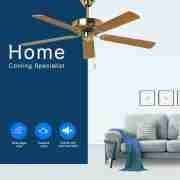 Mexico Popular Ceiling Fan In 2021 Summer Decorative Ceiling Fan CF-52-5C(D) 3