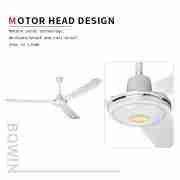 SUMMER POPULAR AND FASHION NEW DESIGN IN CHINA 48 AND 56 CEILING FAN CF-56XJ1