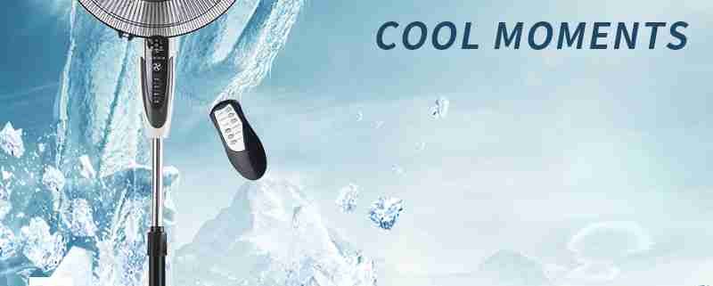 pedestal fan with remote