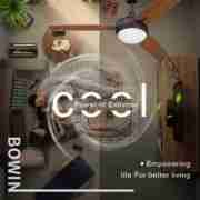 3 blades with one lamp Decorative Ceiling Fan DQ52-3B1LBR 2