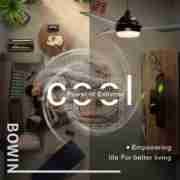 3 wooden blades with one lamp Decorative Ceiling Fan DQL52-1831LS Application