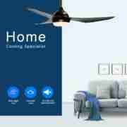 3 wooden blades with one lamp Decorative Ceiling Fan DQL52-1831LS Reviews