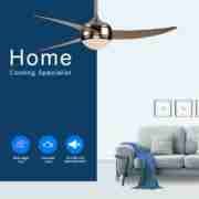 36'' 3 blades with one lamp Decorative Ceiling Fan DQL3B1L 1