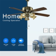 4 blades with 4 lamp Decorative Ceiling Fan HgJ56-1503 Reviews