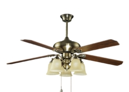4 blades with 5 lamp Decorative Ceiling Fan HgJ56-1508