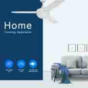 4 wooden blades with one lamp Decorative Ceiling Fan DQL52-3B1D Reviews