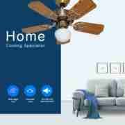 42'' 6 blades with one lamp Decorative Ceiling Fan DQL42-6B1L Application
