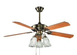 5 blades with 3 lamps Decorative Ceiling Fan HgJ52-1507