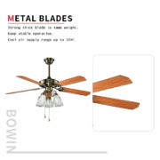 5 blades with 3 lamps Decorative Ceiling Fan HgJ52-1507 Metal