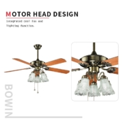 5 blades with 3 lamps Decorative Ceiling Fan HgJ52-1507 Motor