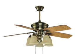 5 blades with one lamp Decorative Ceiling Fan HgJ52-1509