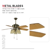 5 blades with one lamp Decorative Ceiling Fan HgJ52-1509 Metal