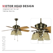 5 blades with one lamp Decorative Ceiling Fan HgJ52-1509 Motor