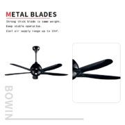 5 blades without lamp Decorative Ceiling Fan DFZ56-2004