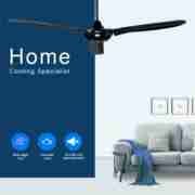5 blades without lamp Decorative Ceiling Fan DFZ56-2005 1