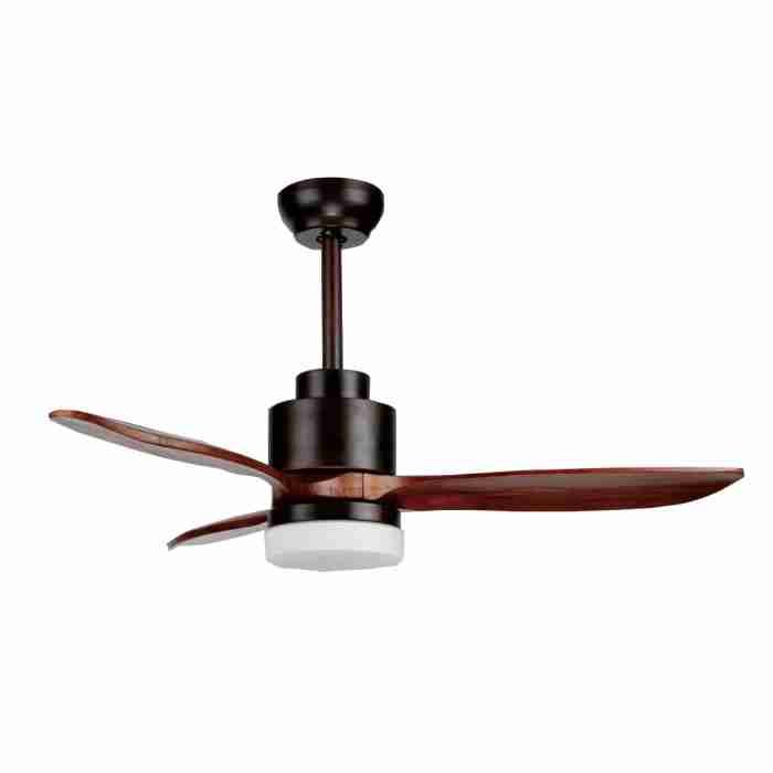 decorative ceiling fan light