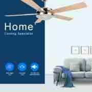 Decorative Ceiling Fan CF-52-5CL(MN) 2