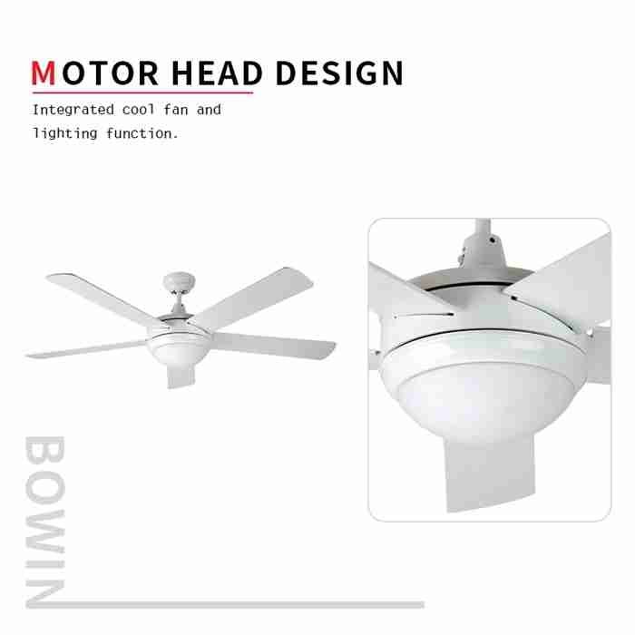 ITALY popular Decorative Ceiling Fan DQL52-5B1L(W) Motor ITALY popular Decorative Ceiling Fan DQL52-5B1L(W) Motor