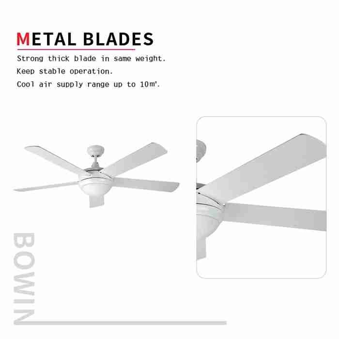 ITALY popular Decorative Ceiling Fan DQL52-5B1L(W) ITALY popular Decorative Ceiling Fan DQL52-5B1L(W)