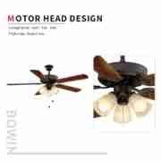 ITALY popular Decorative Ceiling Fan DQL52-5B3L Motor