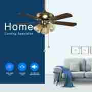 ITALY popular Decorative Ceiling Fan HgJ42-1303 Reviews