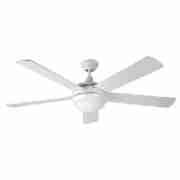 ITALY-popular-ceiling-fan-in-2021-Summer-Decorative-Ceiling-Fan-DQL52-5B1LW-11-4