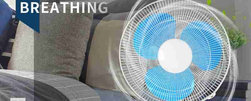 16'' Globe base desk Table Fan