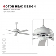 ITALY popular ceiling fan in 2021 Summer Decorative Ceiling Fan HgJ42-1001 22 (1)