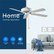 ITALY popular ceiling fan in 2021 Summer Decorative Ceiling Fan HgJ42-1001 22 (2)