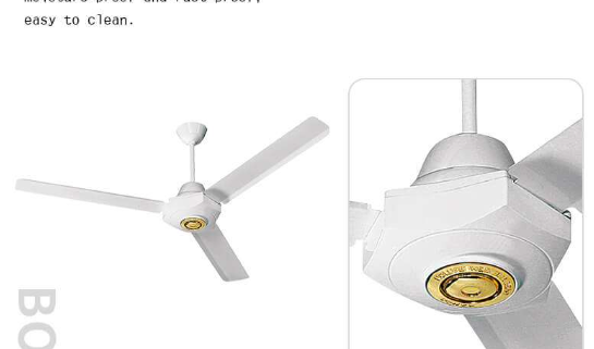 outdoor ceiling fans